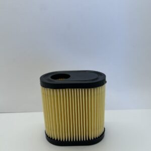 Filtre à air Tecumseh (36905)