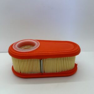 Filtre à air Briggs & Stratton (795066)