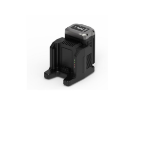 Chargeur à port double 82V, 4A Greenworks #GC420