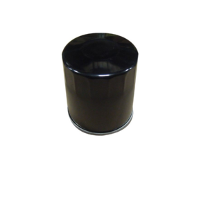 Filtre à huile Briggs ans stratton #491056