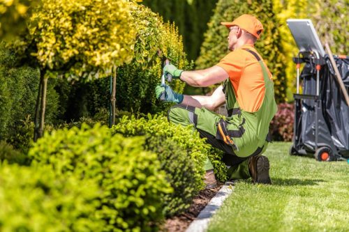 Entretien-de-jardin-jardinier-paysagiste-professionnel-scaled